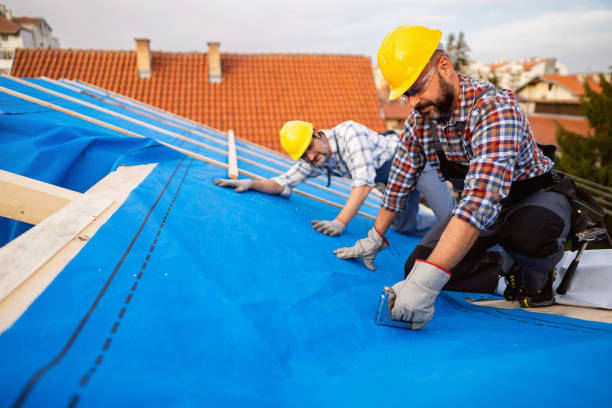 Best Roof Ventilation Installation  in Brownstown, IN