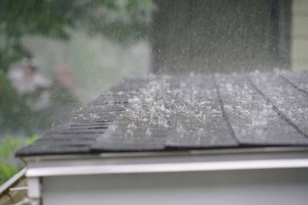 Best Asphalt Shingles Roofing  in Brownstown, IN