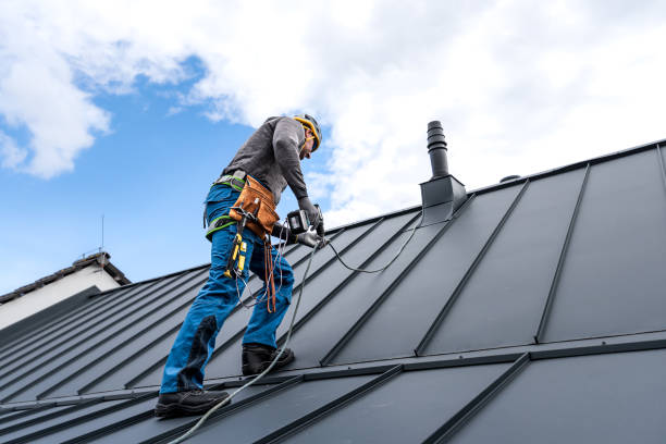 Best Roof Moss and Algae Removal  in Brownstown, IN